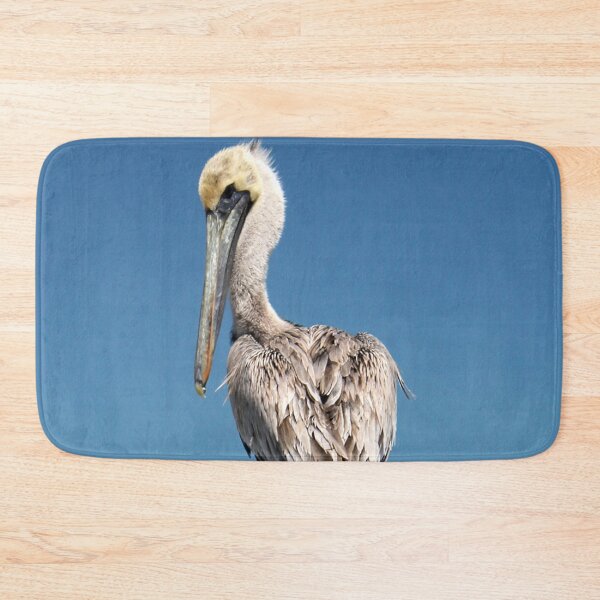 Item preview, Pelican saying "Here's Looking at you, Kid" designed and sold by PhilipBrown.