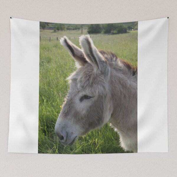 Item preview, Adorable grey donkeys in the high grass meadow	 designed and sold by EstelleRossetti.