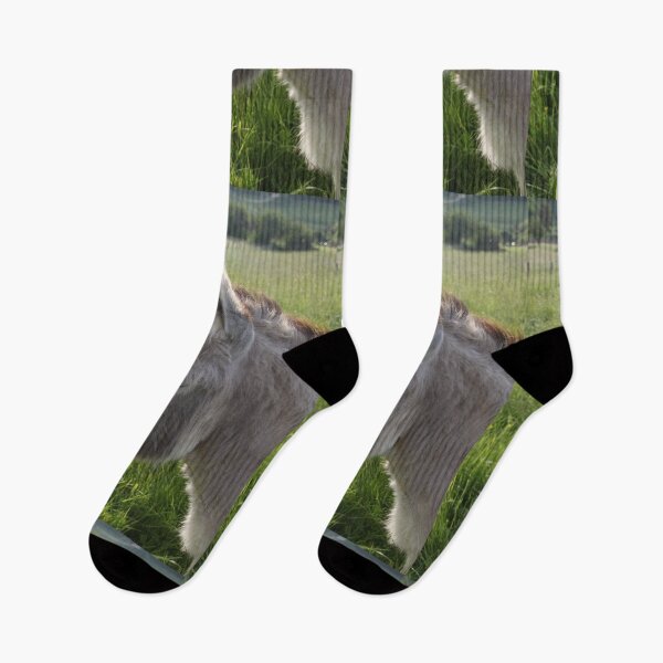 Item preview, Adorable grey donkeys in the high grass meadow	 designed and sold by EstelleRossetti.