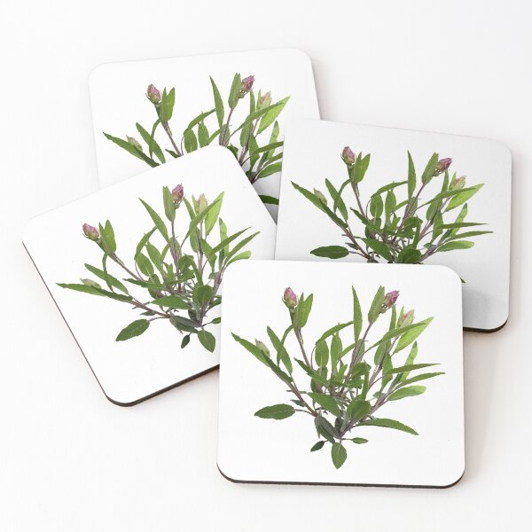 Item preview, Sage designed and sold by AgaSilva.