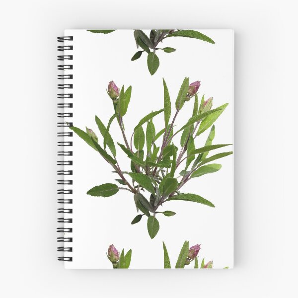 Item preview, Sage designed and sold by AgaSilva.