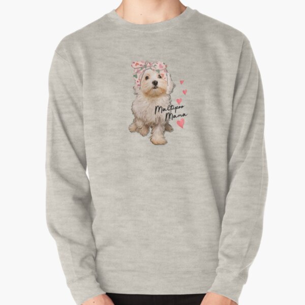 maltipoo sweaters