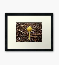 Yellow Mushroom Framed Print