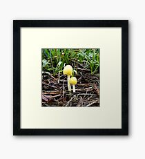 Bright Yellow Framed Print