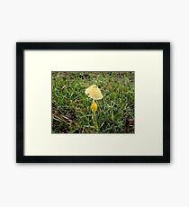Young and Old Framed Print