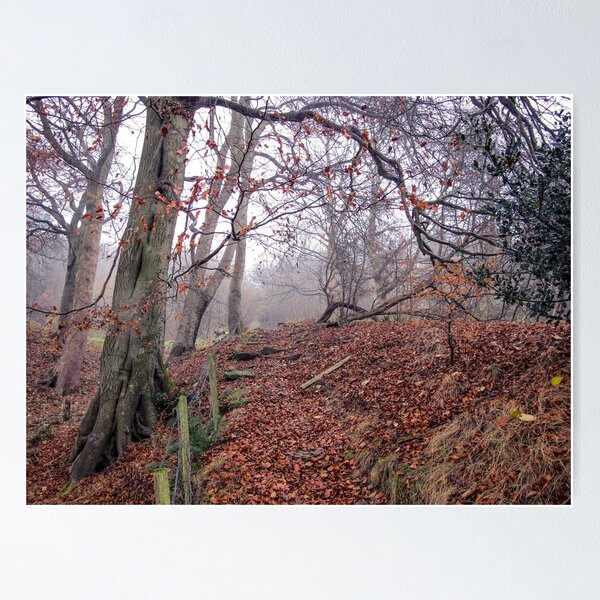 Item preview, Autumn Mist and magic deep in the Forrest  designed and sold by Spellboundarts.
