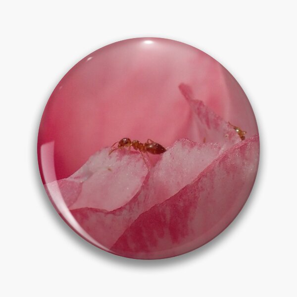 Item preview, Ant 1 designed and sold by Chloé Sauvage.