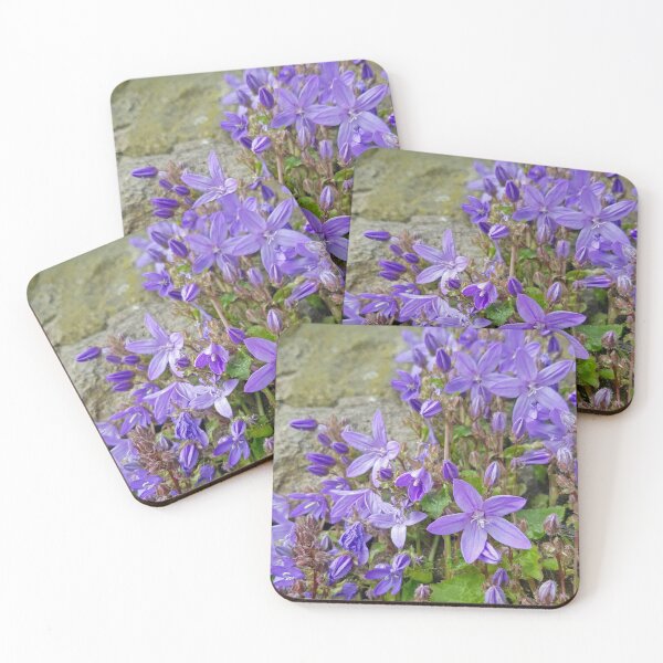 Item preview, Campanula Arvatica designed and sold by Kat Simmons.