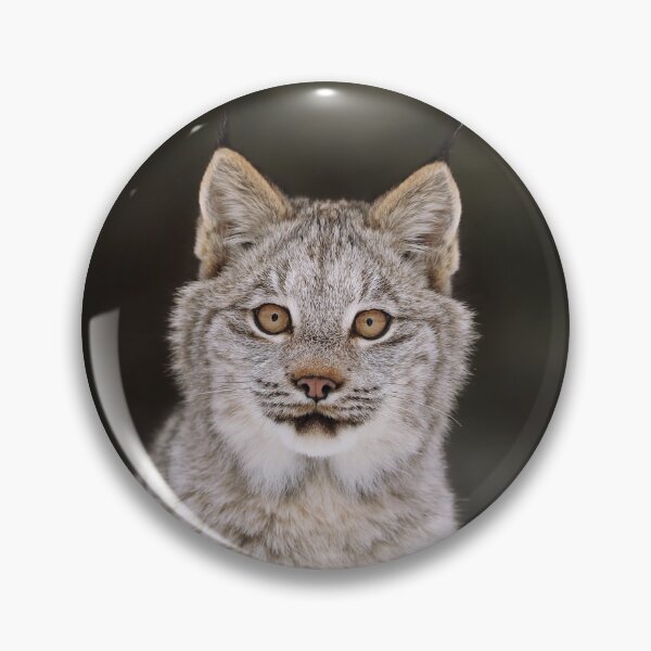 Item preview, Lynx Kitten designed and sold by mlorenz.