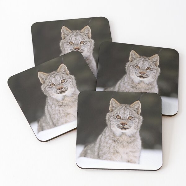 Item preview, Lynx Kitten designed and sold by mlorenz.