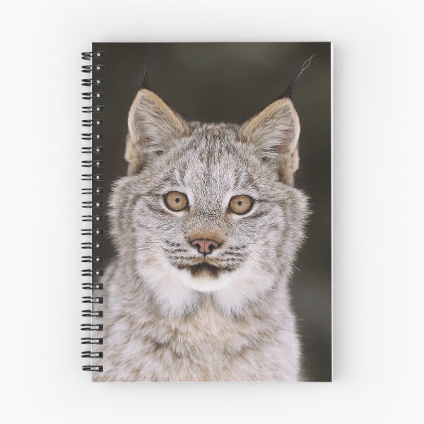 Item preview, Lynx Kitten designed and sold by mlorenz.