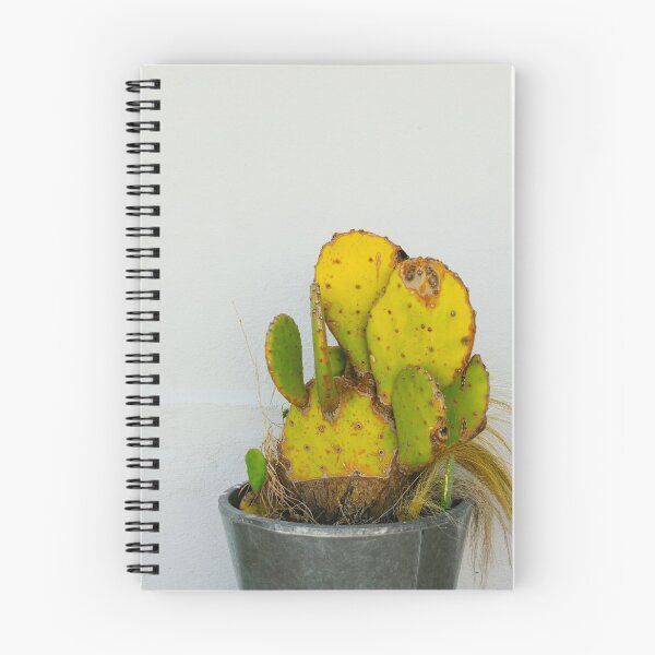 Item preview, Opuntia Prickly Pear Cactus in Marfa designed and sold by Chee Sim.