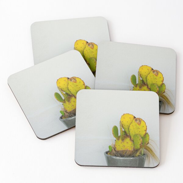 Item preview, Opuntia Prickly Pear Cactus in Marfa designed and sold by Chee Sim.