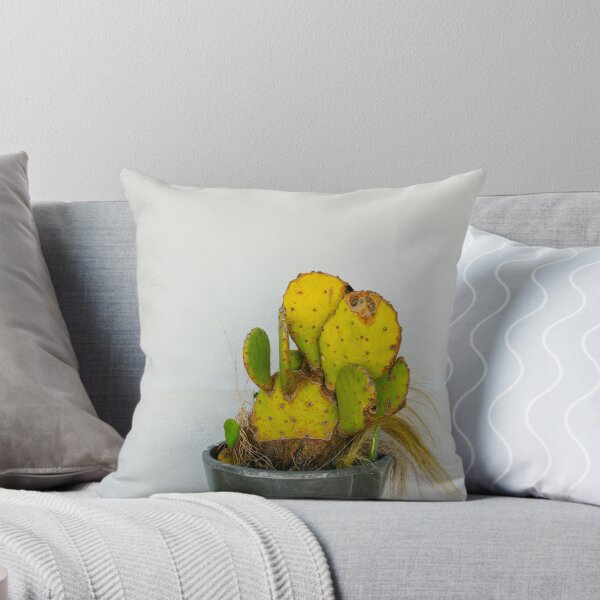 Item preview, Opuntia Prickly Pear Cactus in Marfa designed and sold by Chee Sim.