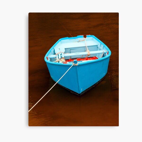 Blue Boat 2012 Canvas Print