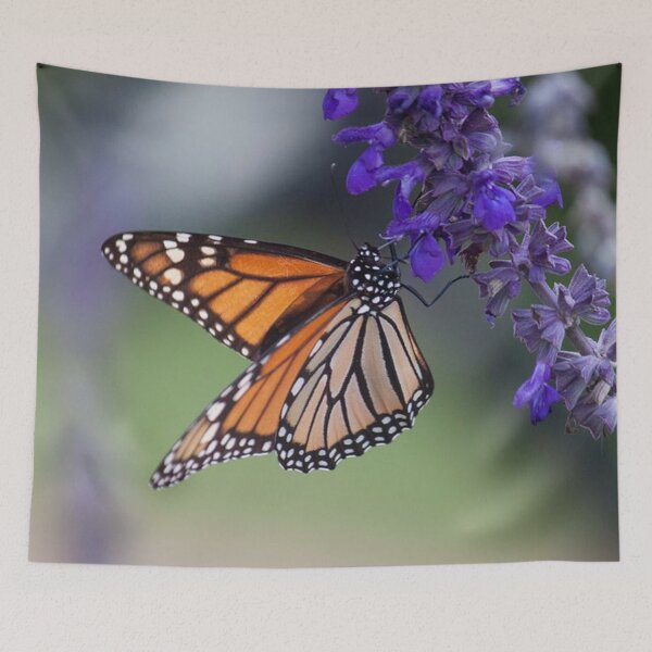 Item preview, Monarch II designed and sold by Jacquelie.