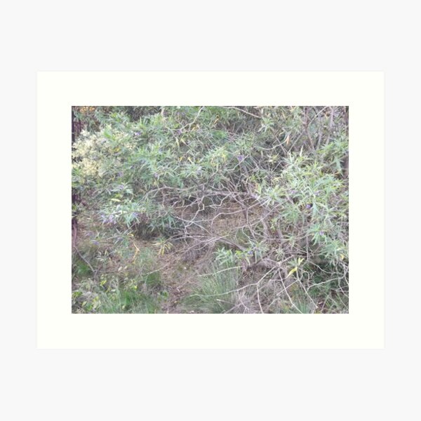 Item preview, Forest floor designed and sold by John Witte.