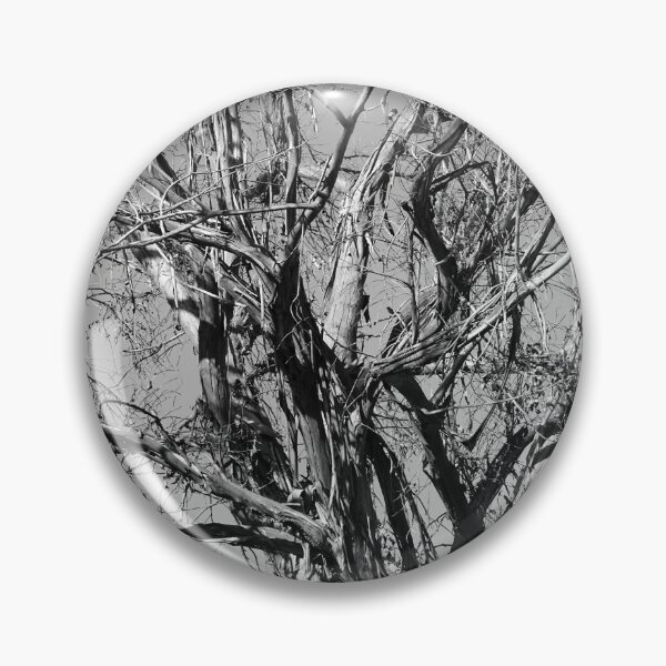 Item preview, Barren tree designed and sold by DomingoPhoto.