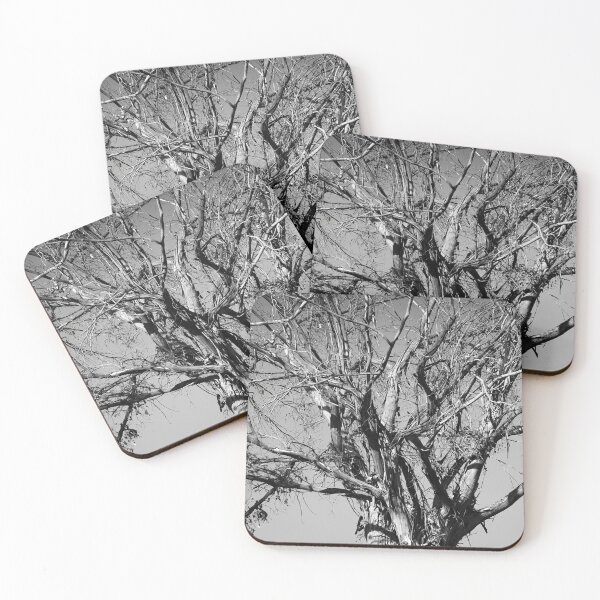 Item preview, Barren tree designed and sold by DomingoPhoto.