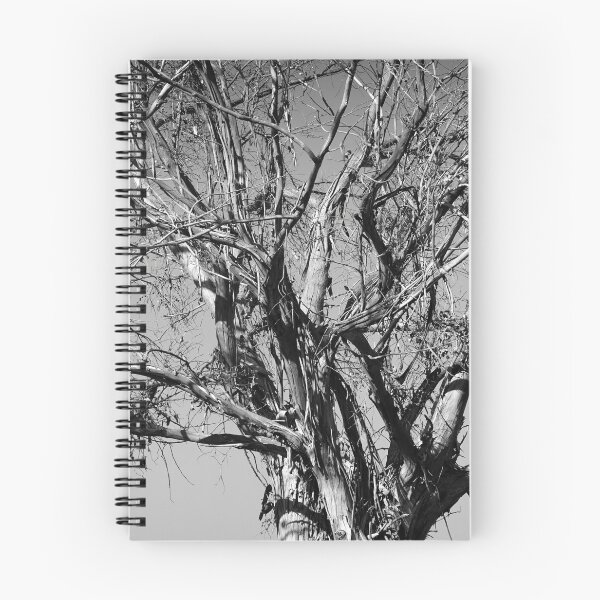 Item preview, Barren tree designed and sold by DomingoPhoto.