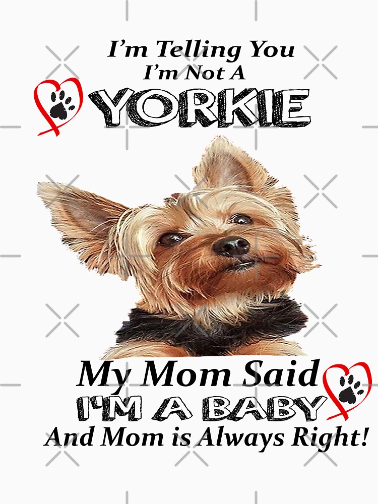 My baby hot sale yorkie paws