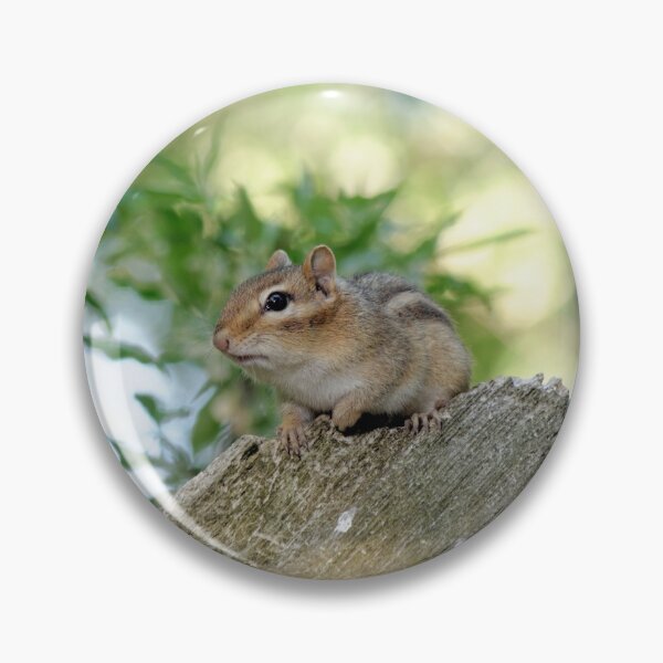 Item preview, Chipmunk in the woods designed and sold by rodmacpherson.