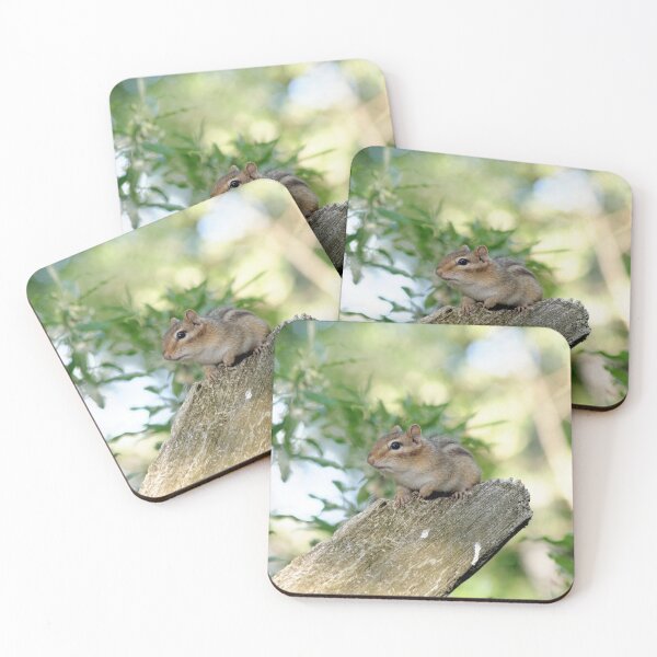 Item preview, Chipmunk in the woods designed and sold by rodmacpherson.