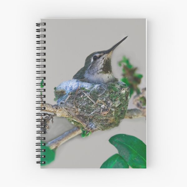 Item preview, Mama Hummingbird Nesting designed and sold by heatherfriedman.