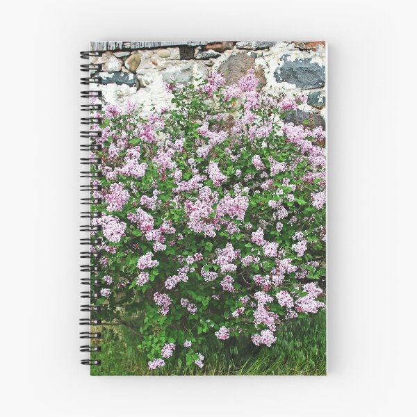 Item preview, Farm Delight designed and sold by Deb Oppermann.