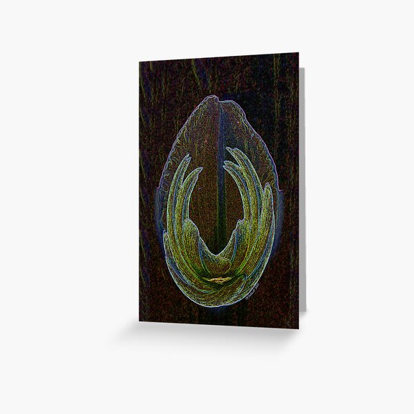 Antares Descending Greeting Card