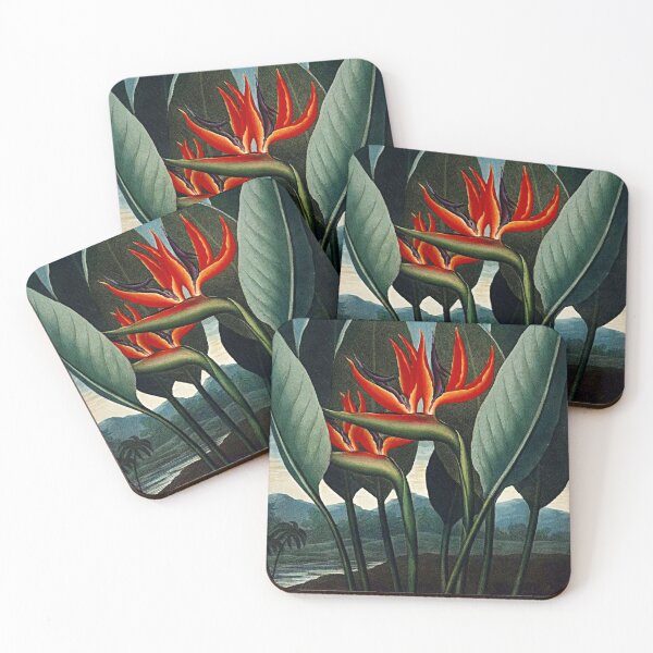 Item preview, Botanical Art The Bird Of Paradise designed and sold by JoolyA.