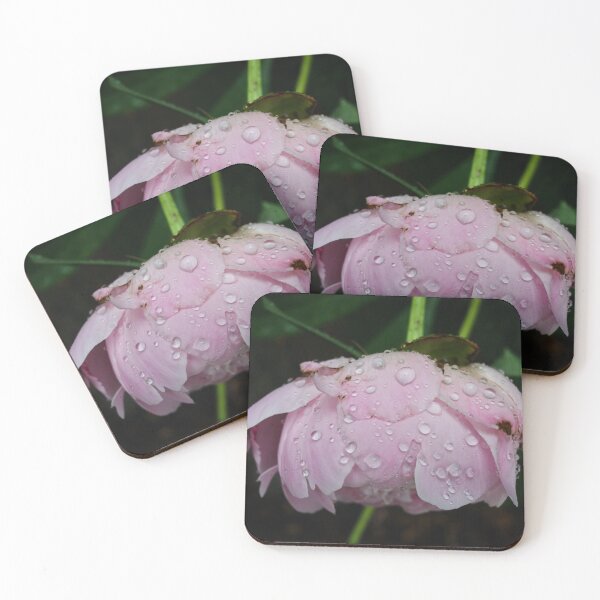 Item preview, Spring Flowers, June 2020 #8 designed and sold by Rachel Jeffrey.