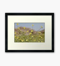 desert colours Framed Print