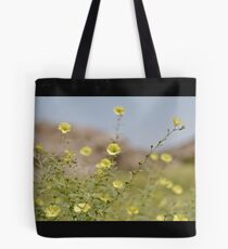 desert colours Tote Bag