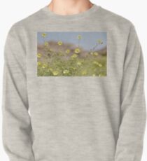 desert colours Pullover