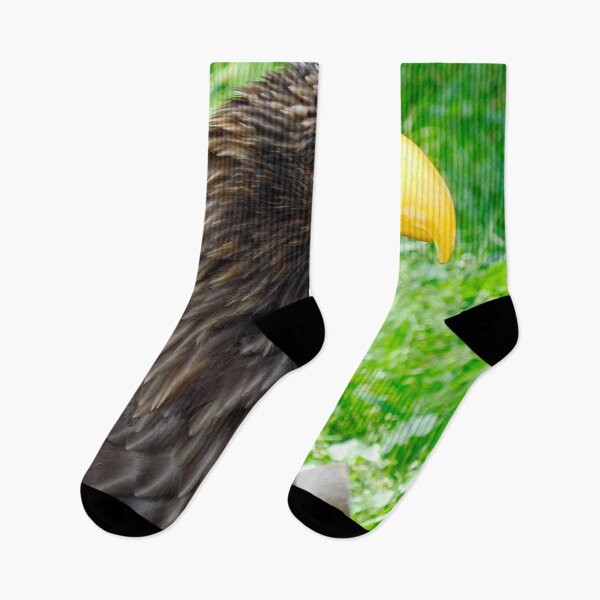 Item preview, Eagle in Zoo Aquarium de Madrid designed and sold by HilaryLeslie.