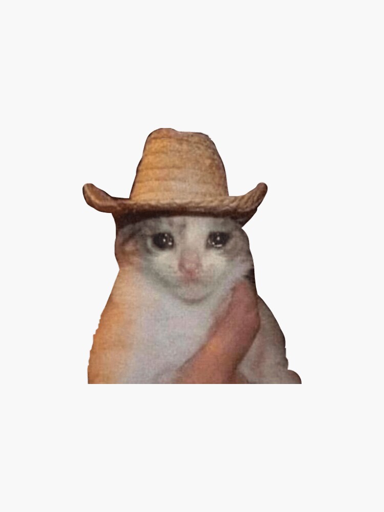 Sad Cat Cowboy Hat Sad Cat Cowboy Hat