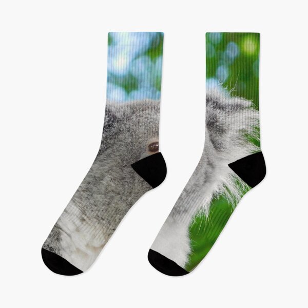 Item preview, Koala Bear in Zoo Aquarium de Madrid designed and sold by HilaryLeslie.
