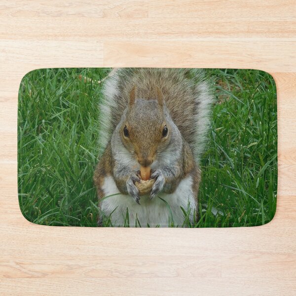 Item preview, Squirrel Eating in Boston Park designed and sold by HilaryLeslie.