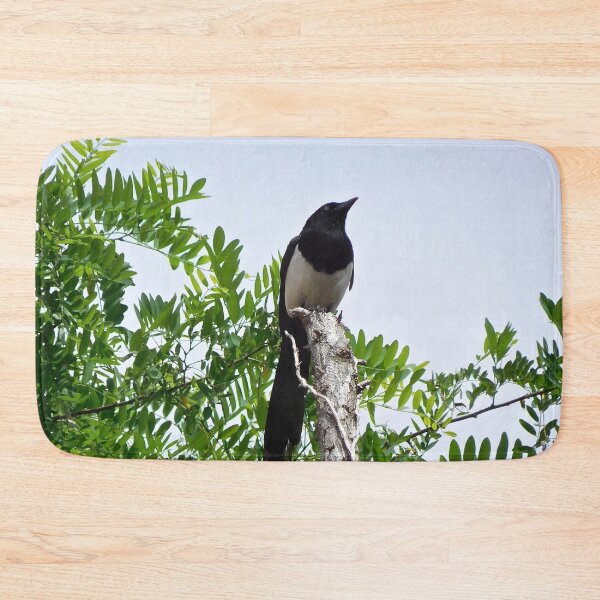 Item preview, Magpie in Tree, Spain designed and sold by HilaryLeslie.