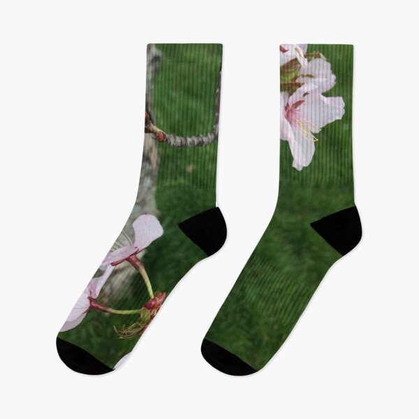 Item preview, Little Spring Blooms, Spain designed and sold by HilaryLeslie.