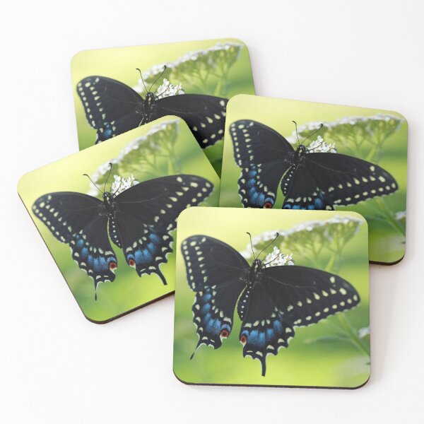 Item preview, Black Swallowtail designed and sold by StampCity.