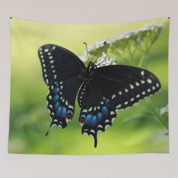 Item preview, Black Swallowtail designed and sold by StampCity.