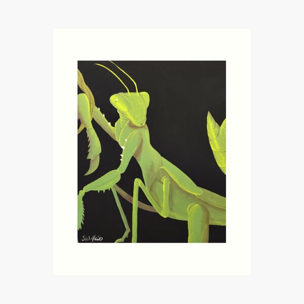 Item preview, Praying Mantis Acrylic Painting Print designed and sold by Yuujikon.
