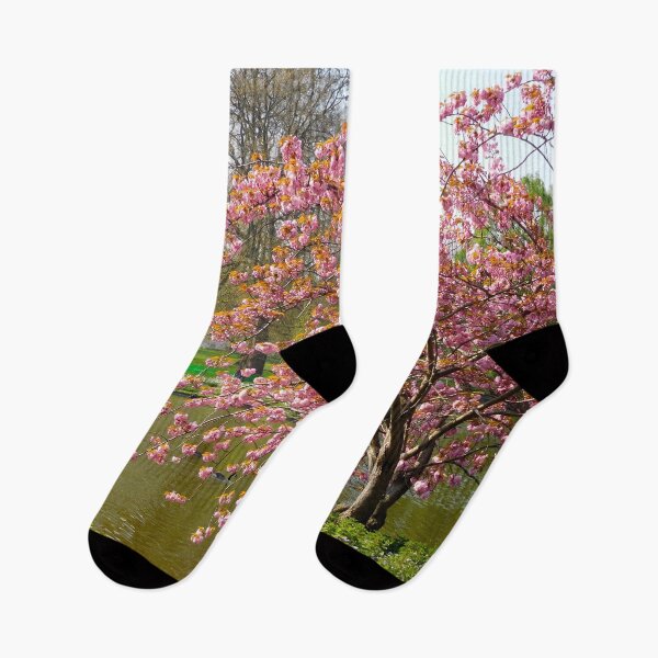 Item preview, Pink Blooming Tree in London, England  designed and sold by HilaryLeslie.