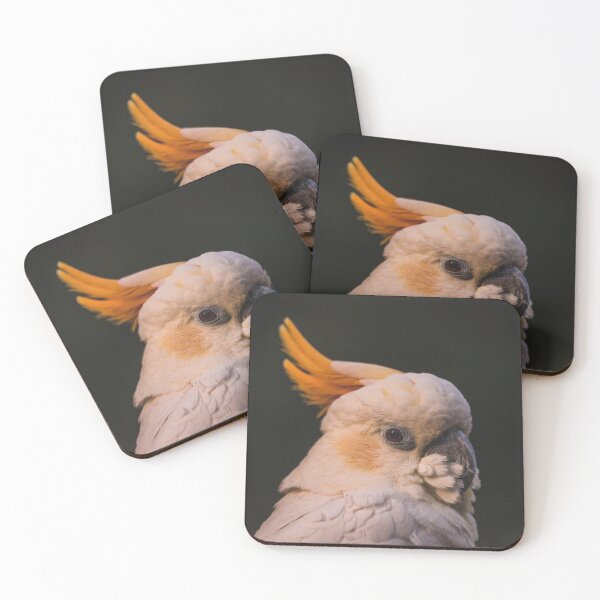 Item preview, Cockatoo in Profile designed and sold by Abbie Heuer.