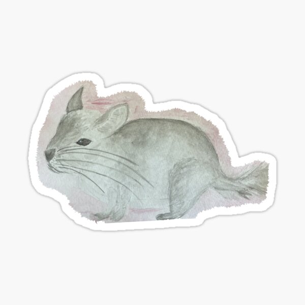 Grey Chinchilla Stickers Redbubble