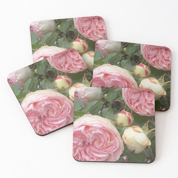 Item preview, blush pink heirloom rose designed and sold by Jennco60.