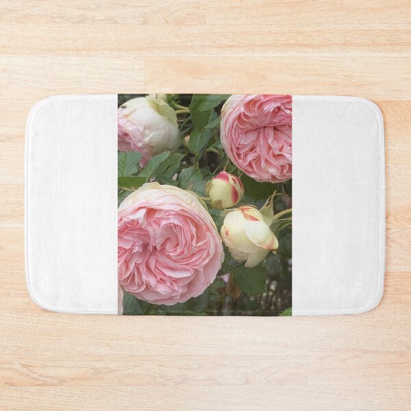 Item preview, blush pink heirloom rose designed and sold by Jennco60.