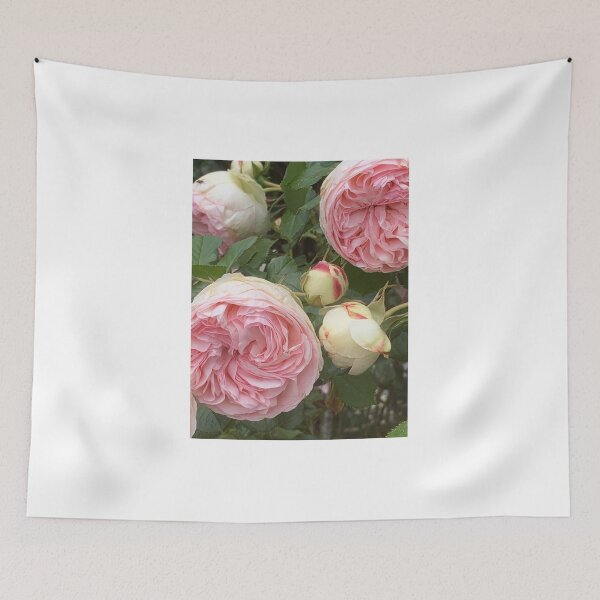 Item preview, blush pink heirloom rose designed and sold by Jennco60.